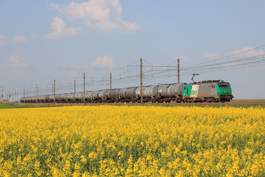 BB 27152 en traction, le train de Fret 73525 Le Havre - Estavel-Triage traverse les plaines de la Beauce, tapiss&eacute;e en cette saison de champs de colza.