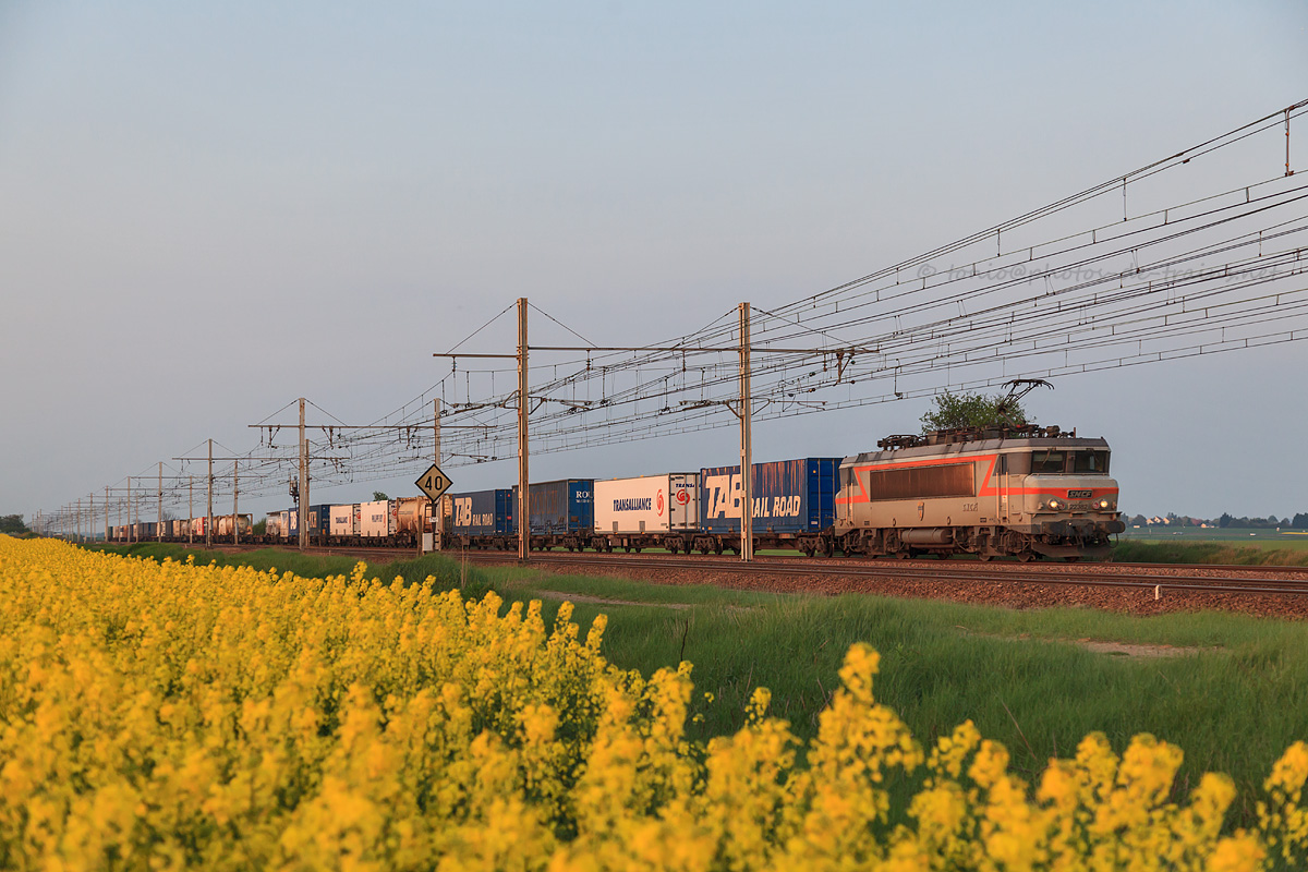 Coucher de soleil et champ de colza pour ce train de Fret Saarbr&uuml;cken Rbf - Cambiador Ir&ugrave;n, tract&eacute; par la BB 22382.