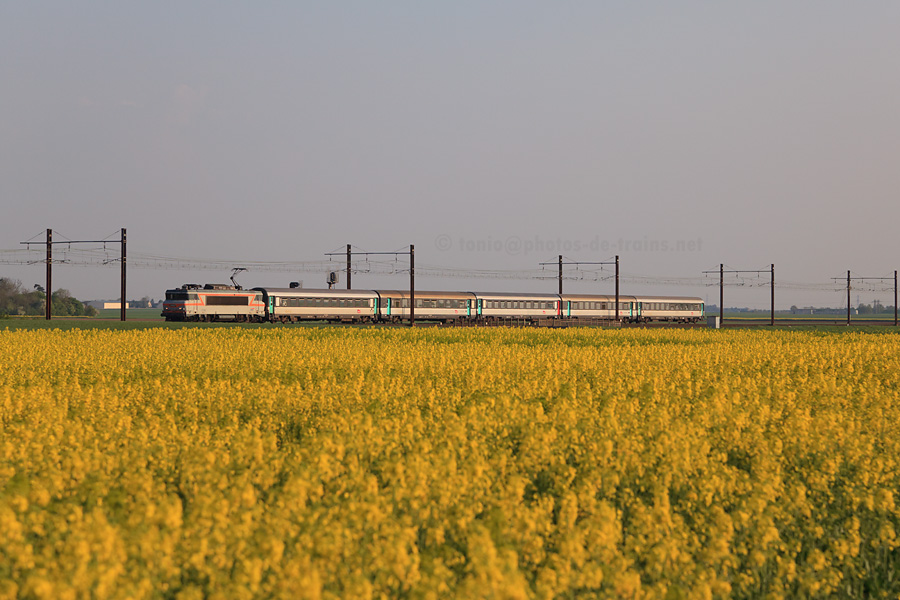 Contre-jour, champ de colza et lumi&egrave;re vesp&eacute;rale pour ce TER &agrave; destination de Paris.