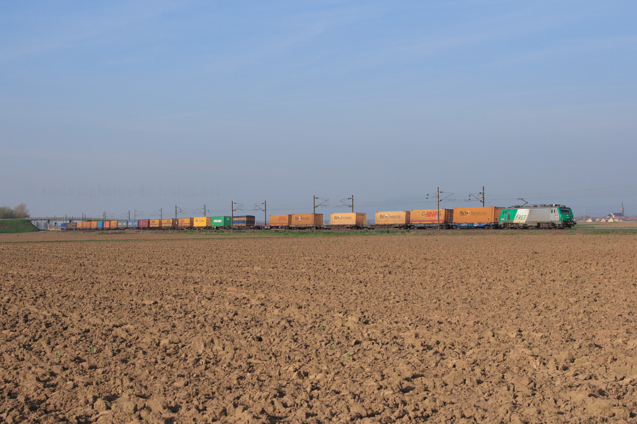 Tract&eacute; par la BB 37058, le train de FRET 40312 Muttenz - Bettembourg traverse la plaine d'Alsace. Il est vu ici pr&egrave;s de Schaeffersheim.