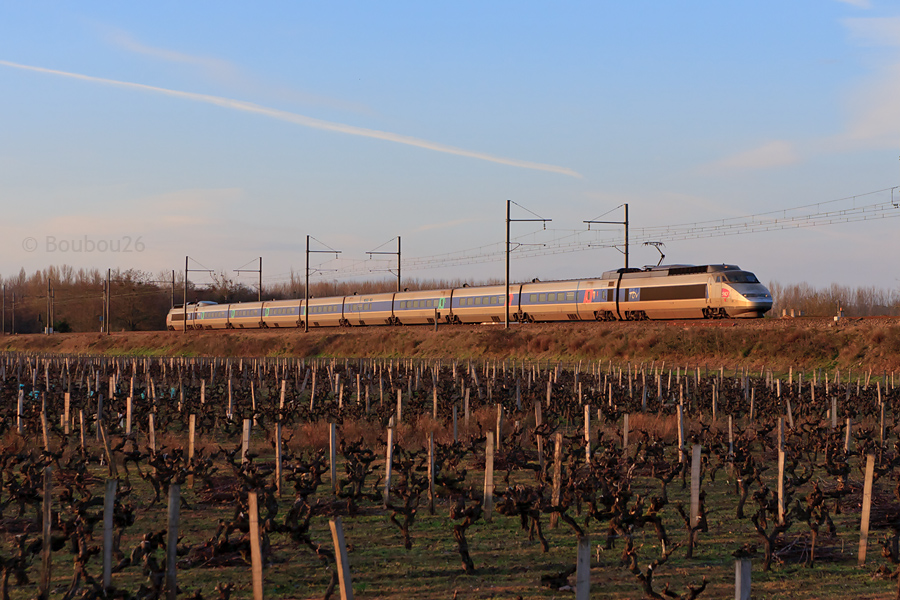La rame PSE 90 assure ce TGV Lille-Flandres - Toulouse-Matabiau. Il est vu sous les derniers rayons du soleil, dans les vignes bordelaises.