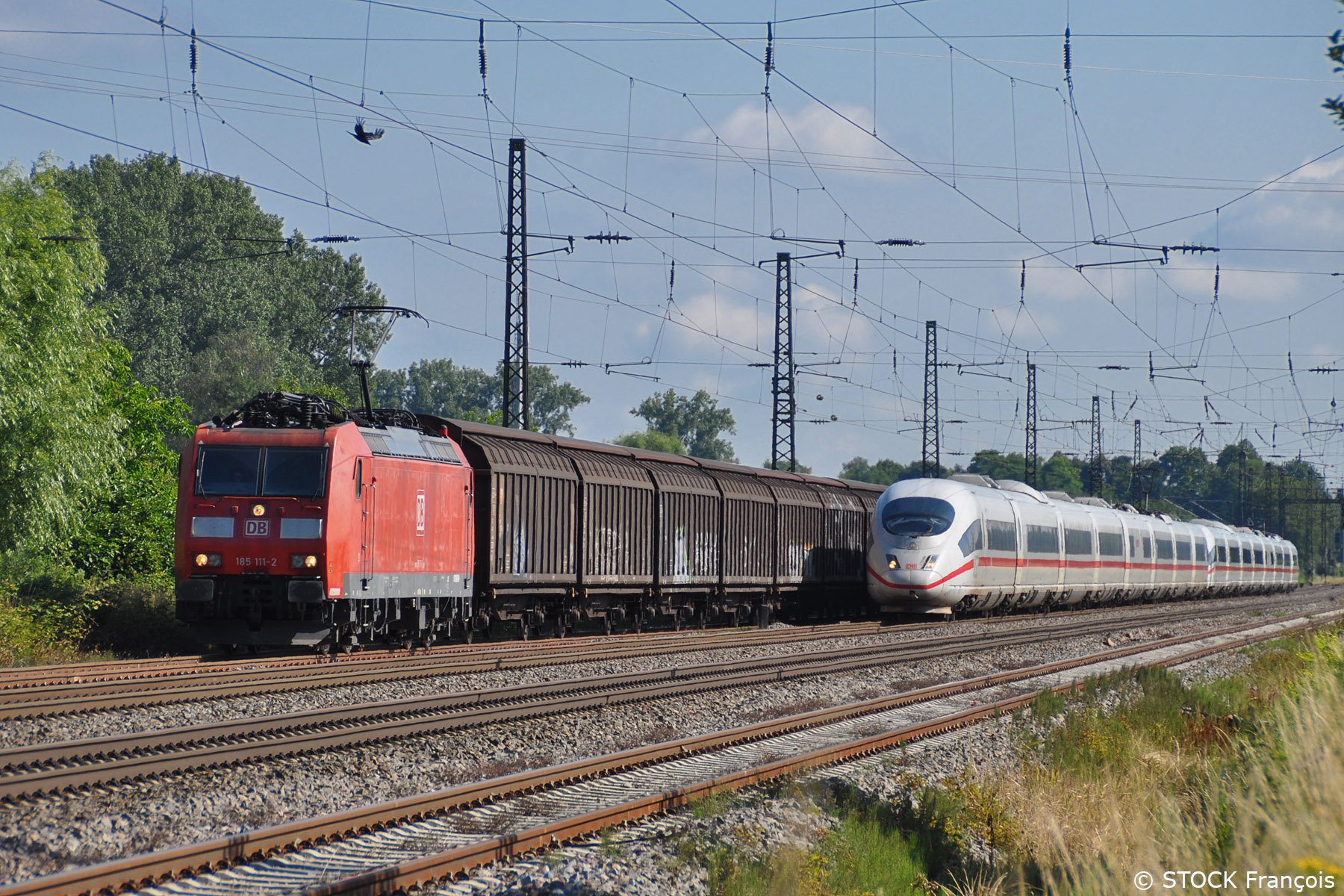 Mise en évitement près de la localité badoise de Niederschopfeim, la BR 185 111-2 et son train de couvert cède le passage à une unité multiple d'ICE 3 filant vers la Suisse.