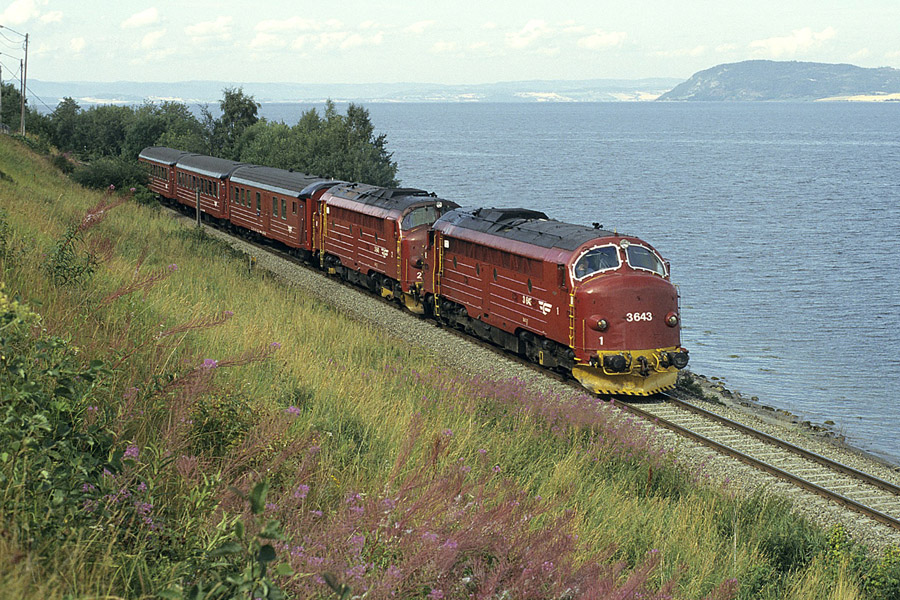 Tracté par les Di 3 643 et 641, le train régional Rt 477 Trondheim - Mo i Rana longe le fjord de Trondheim