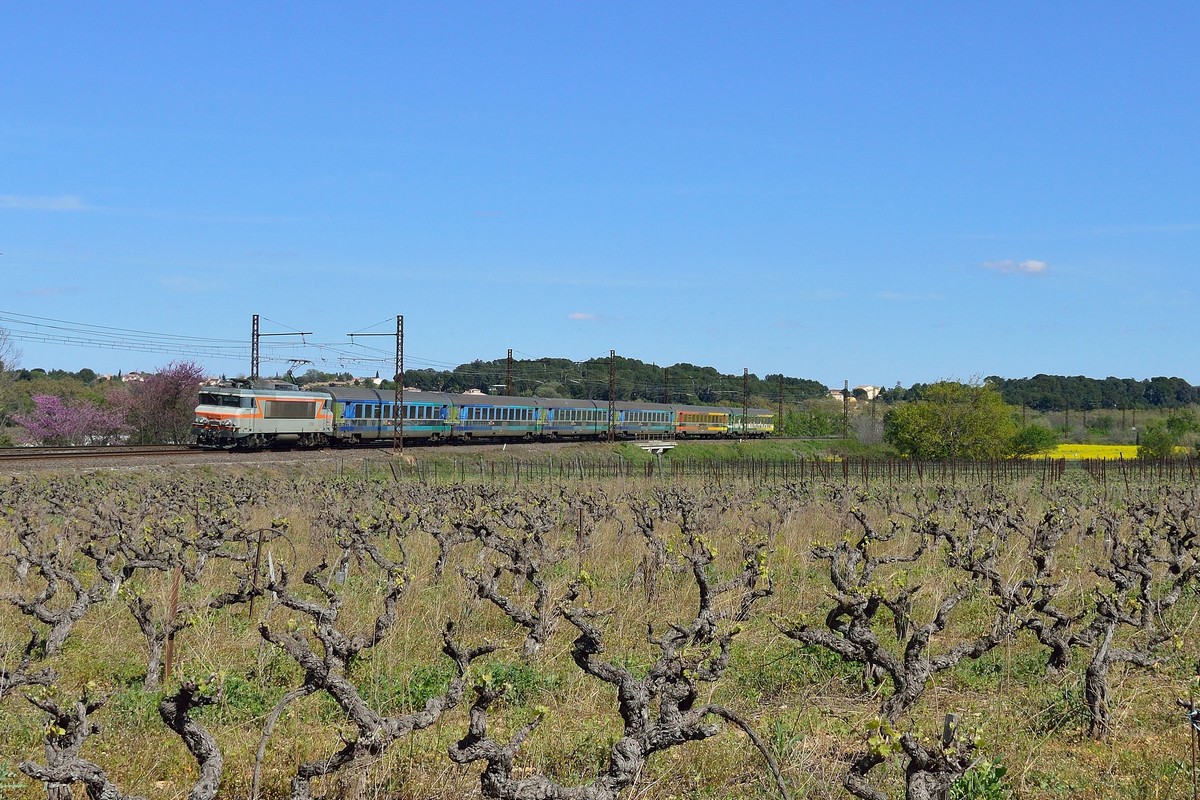 Passage du train Nice - Bordeaux assuré par les voitures Téoz au milieu des plaines Héraultaises colorées par la floraison des arbres en ce printemps 2016.