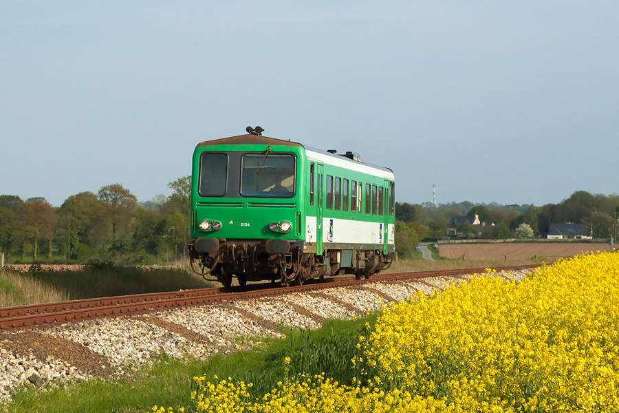 L'X 2136 passe en solo le long d'un beau champ de colza au TER 854151 Dinan - St Brieuc, peu apr&egrave;s Dinan.