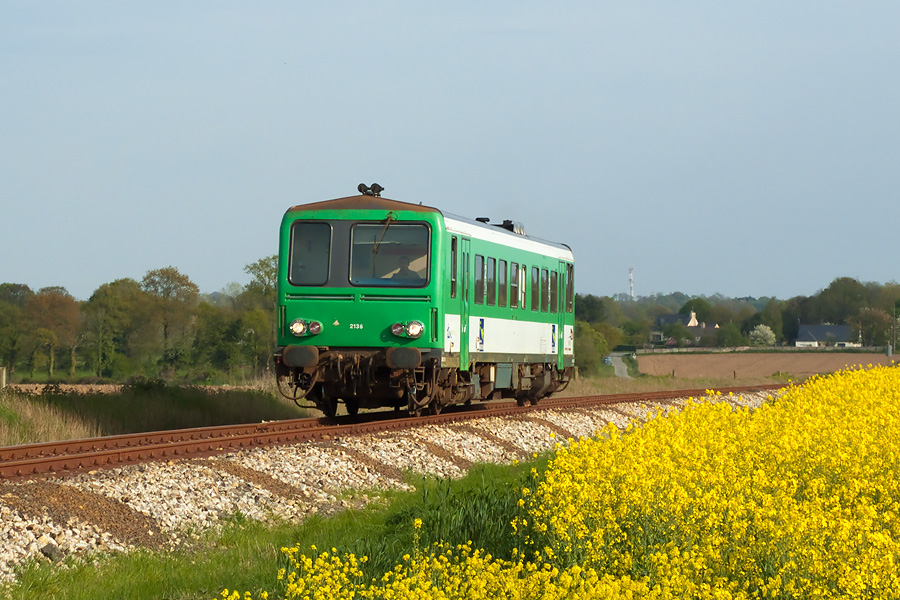 L'X 2136 passe en solo le long d'un beau champ de colza au TER 854151 Dinan - St Brieuc, peu après Dinan.