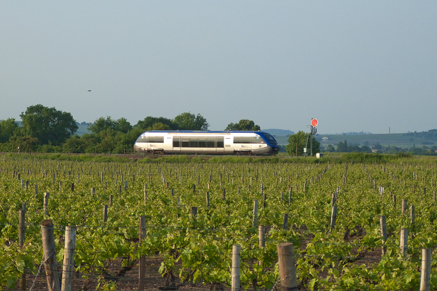 L'X 73807 passe au milieu des vignes du Cognac en charge du TER 864570 Angoul&ecirc;me - Saintes, alors que le soleil commence &agrave; devenir assez rayonnant.