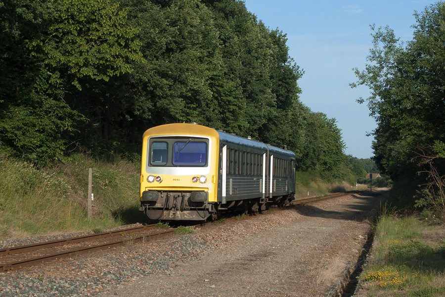 L' X4630/8642 en livr&eacute;e TER Bourgogne "Vanille-Fraise" arrive &agrave; destination du TER 893902 Lyon-Paray le Monial. Il accuse alors un retard d'1 heure environ.