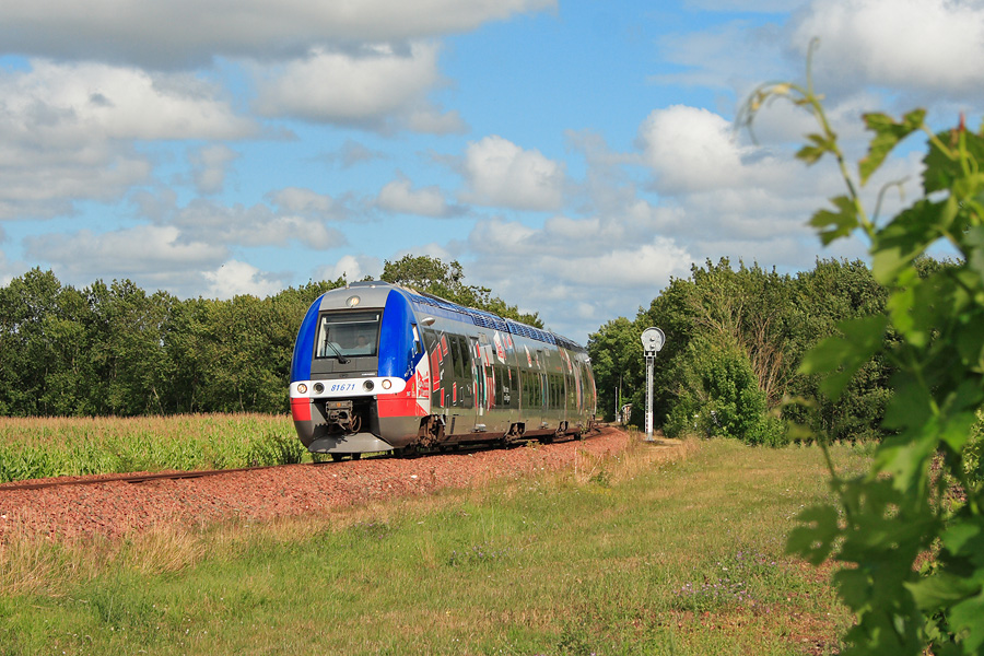 Unique B 81500 de la r&eacute;gion Poitou-Charentes &agrave; avoir &eacute;t&eacute; pellicul&eacute;, le B 81671/2 assure le TER 864600 Angoul&ecirc;me-La Rochelle et passe au niveau de St Sever de Saintonge, &agrave; proximit&eacute; des vignes.