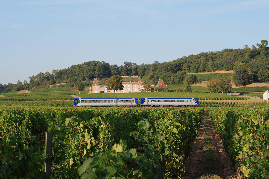 Les X 92203 et XR 6070 passent au-dessus des vignes entre Libourne et Castillon la Bataille, sur la commune de Saint Hippolyte, devant une belle demeure trônant au milieu d'un domaine de vignobles, au TER 865606 Bordeaux - Bergerac.