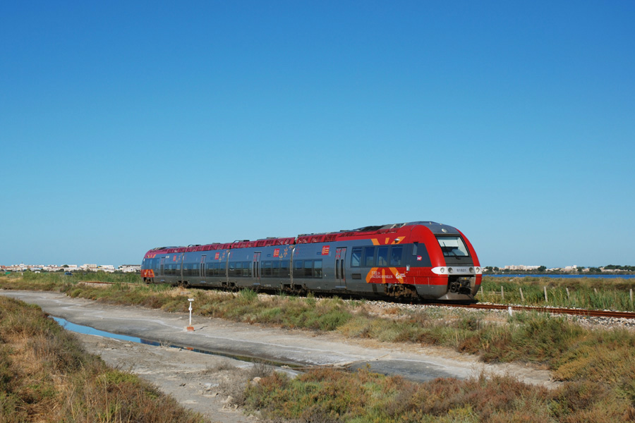 Vue du TER 877552 Le Grau-du-Roi - N&icirc;mes, assur&eacute; par un AGC Languedoc-Roussillon.