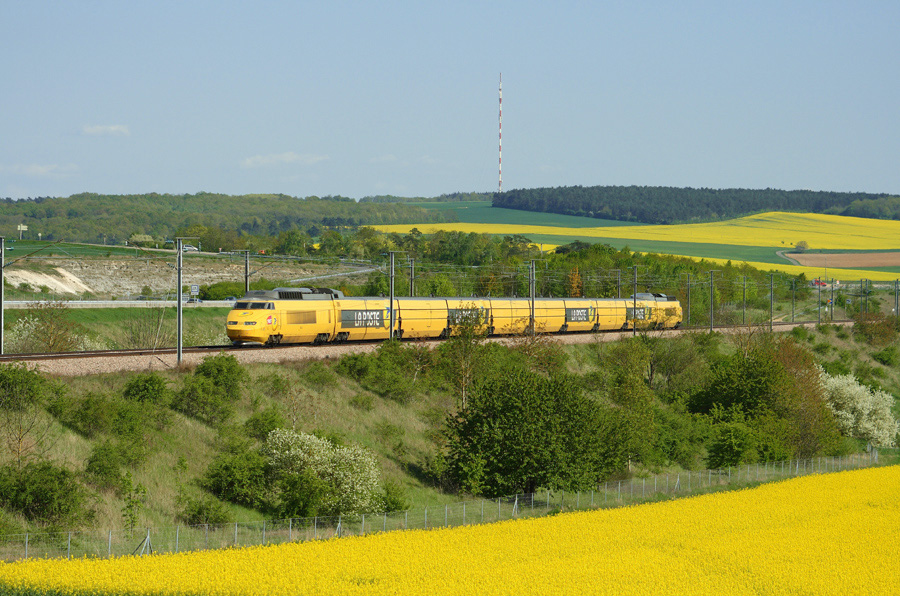Le TGV postal file vers la captale &agrave; travers les champs de colza, pr&egrave;s de Sens.