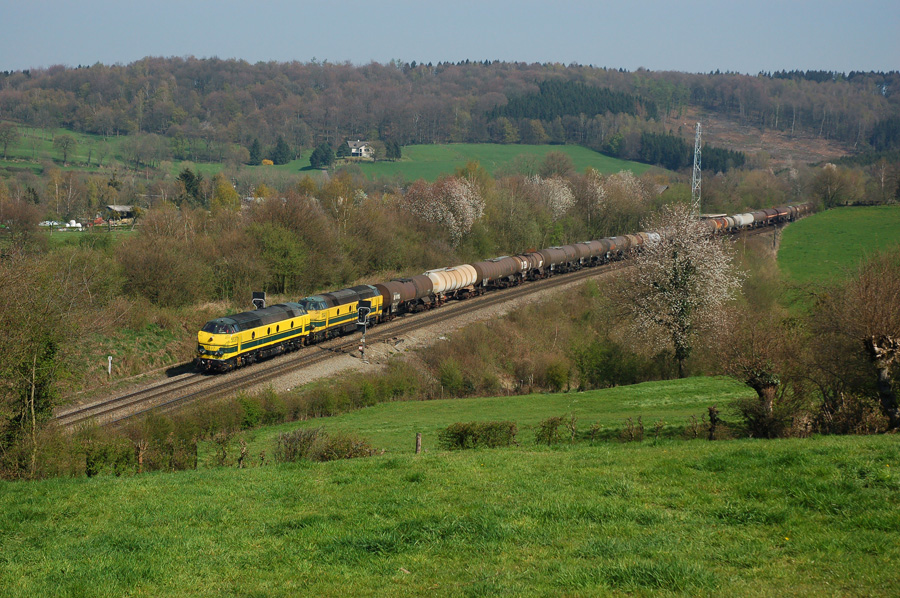 HLD 5537+5541 en t&ecirc;te d'un train de marchandises en passage a Gemmenich