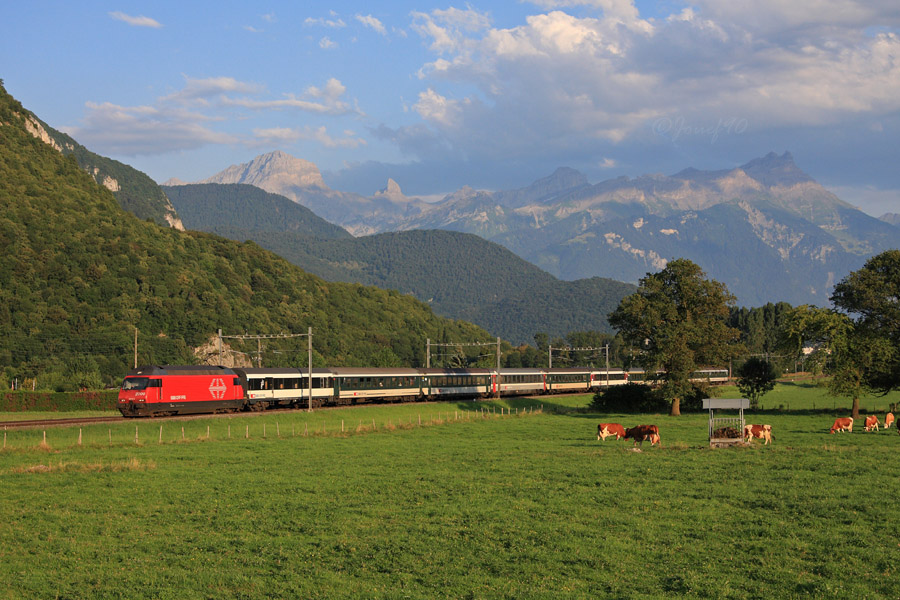 Une Re 460 assure un IR pour Gen&egrave;ve.