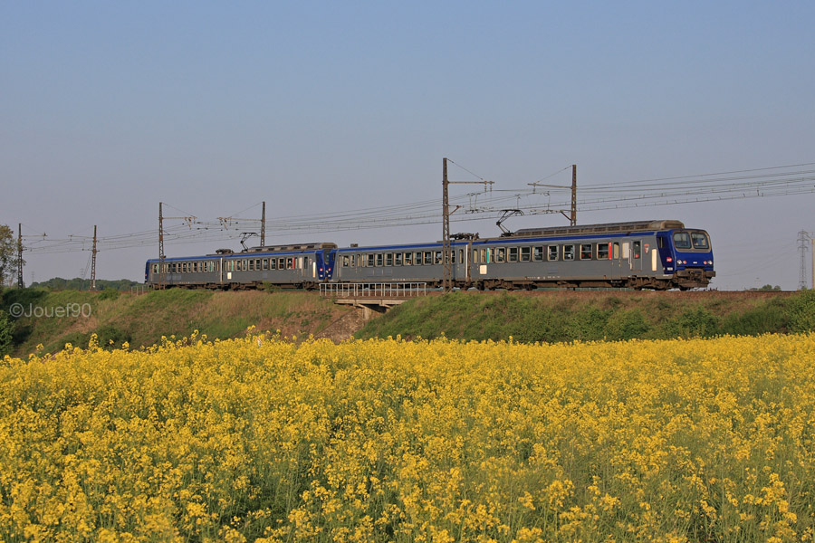 Une UM de Z2 assurant un train pour Paris-Montparnasse passe devant ce champs de Colza &eacute;clair&eacute; par la lumi&egrave;re vesp&eacute;rale.