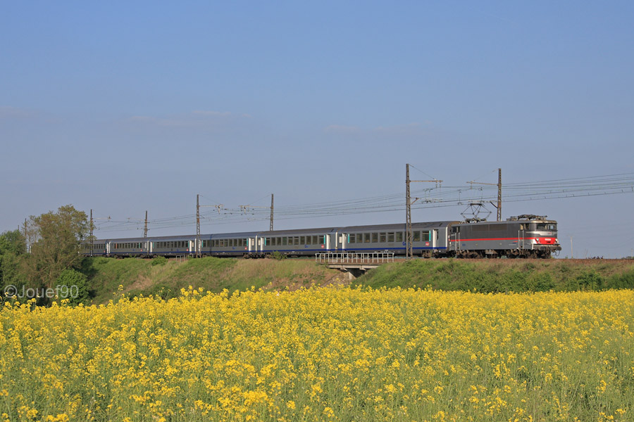 La BB 9284 est vue alors qu'elle passe entre des champs de colza du c&ocirc;t&eacute; de Gazeran sur un TER pour Chartres.