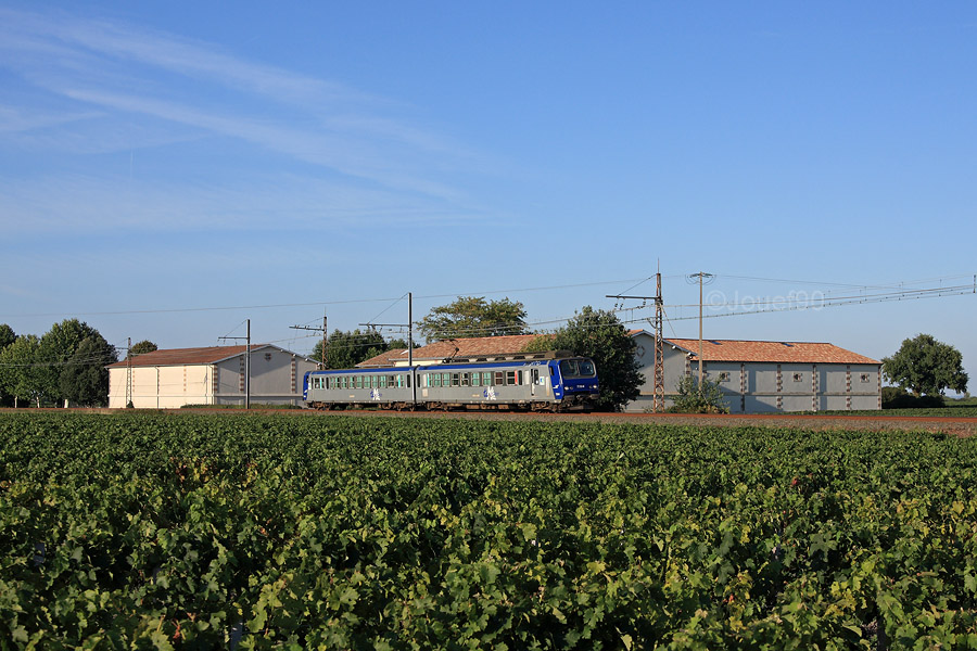 Une Z 7300 traverse le domaine viticole du Ch&acirc;teau Larose-Trintaudon alors qu'elle assure un TER en provenance de la Pointe-de-Grave.