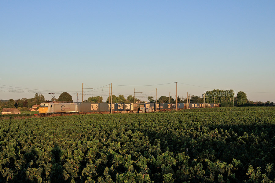 Une E 186 de Euro Cargo Rail remonte sur Bordeaux avec son train de caisses TAB.