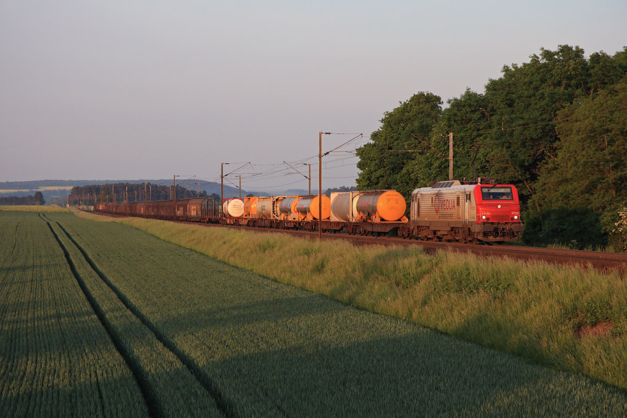 La BB 37504 de V&eacute;olia attrapp&eacute;e au soleil levant au milieu de la verdure Bourguignone.