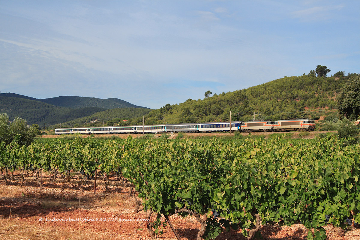 Lumi&egrave;re matinale sur le train de p&eacute;lerins 29009 Lourdes - Nice-Ville, qui passe ici au milieu des vignes Varoises et qui va bient&ocirc;t franchir le BV de Cuers-Pierrefeu.