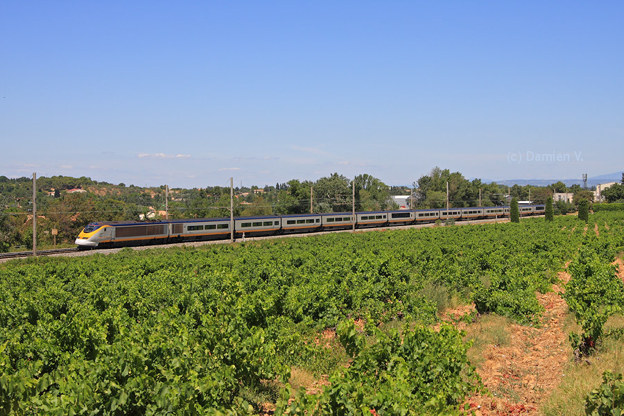 L'Eurostar 9085 reliant Londres &agrave; Avignon-Centre passe dans les vignes du c&ocirc;t&eacute; de B&eacute;darrides, &agrave; quelques minutes de son terminus.