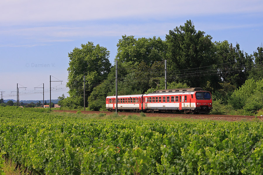 La Z 7318 est vue dans les vignes entre Bordeaux et Langon, alors qu'elle assure le TER 866801 &agrave; destination d'Agen.