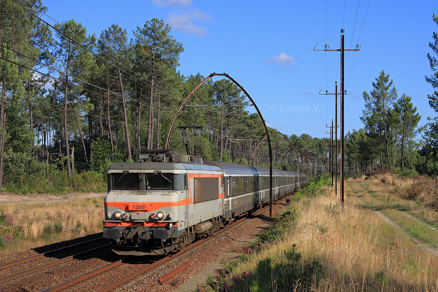 La BB 7388 est en charge du CIC 14006 Hendaye - Bordeaux-St-Jean, et passe ici dans les forêts de pins peu avant Morcenx.