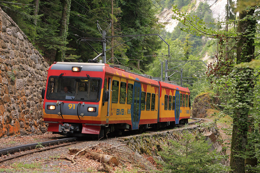 L'automotrice Beh 4/8 n&deg;91 de la ligne Bex - Villars - Bretaye (BVB) est vue en pleine for&ecirc;t, se faufilant dans d'&eacute;troites courbes, alors qu'elle assure une relation omnibus entre Bex et Villars-sur-Ollon.