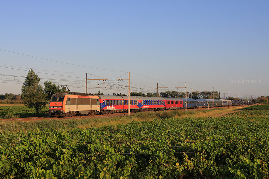 L'AutoSlaap n&deg; 1401, men&eacute; par la BB 26189, est vu dans le vignoble des C&ocirc;tes du Rh&ocirc;ne, entre Orange et Avignon, son terminus.