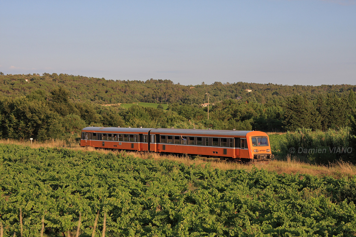 Assurant l'avant-dernière relation de cette journée spéciale entre Carnoules et Brignoles, l'X 4590 de l'ATTCV est vu dans le vignoble du côté de Besse-sur-Issole.