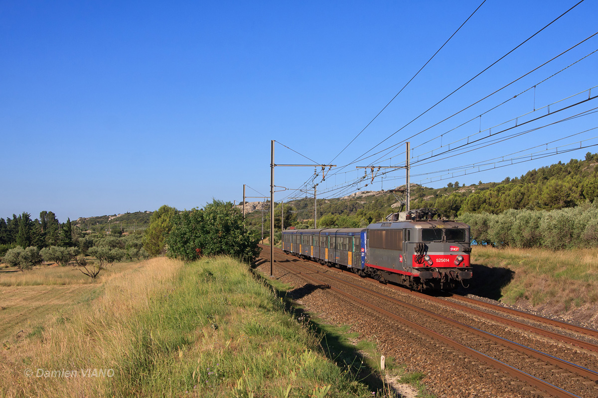 La BB 25614 et la rame réversible régionale N° 321 forment le TER 879554 reliant Miramas à Avignon en ce début de matinée. L'ensemble traverse les oliveraies du côté de Graveson.