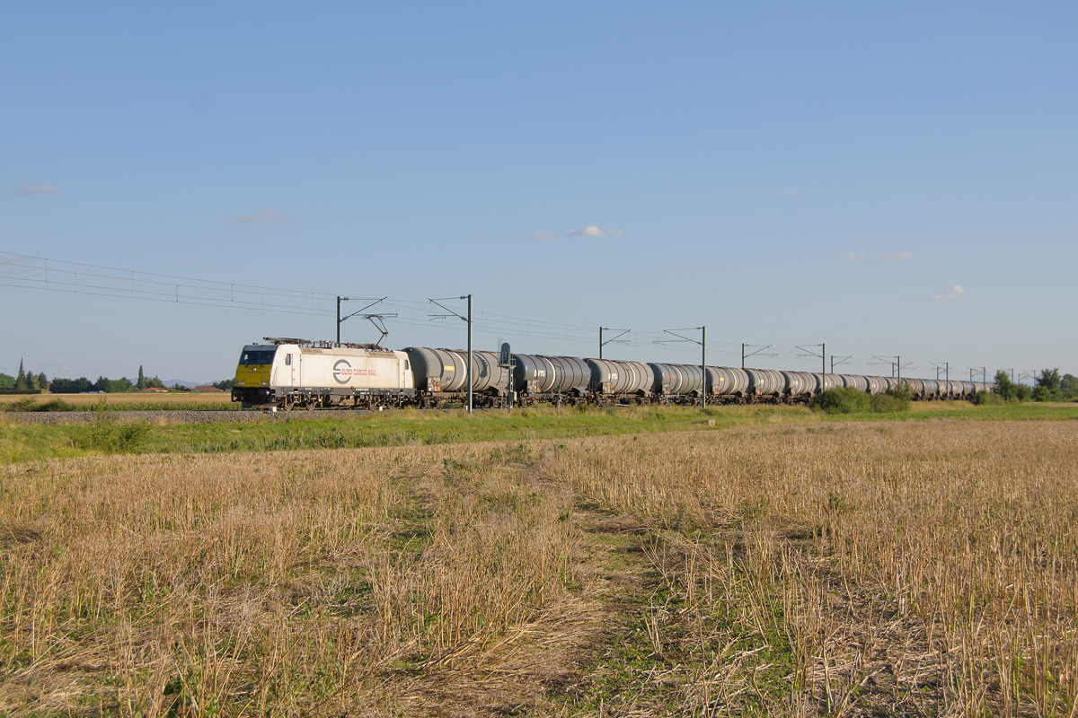 Cette BR 186 est vue en plaine de Limagne avec un train d'hydrocarbure vide en provenance de Clermont (Cournon d'Auvergne) pour Le Havre.