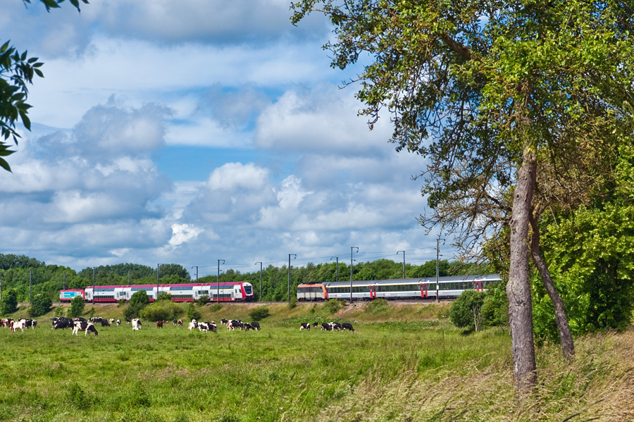 Un train r&eacute;gional des CFL croise l'Express international "Vauban" au sud du Grand-Duch&eacute; de Luxembourg.