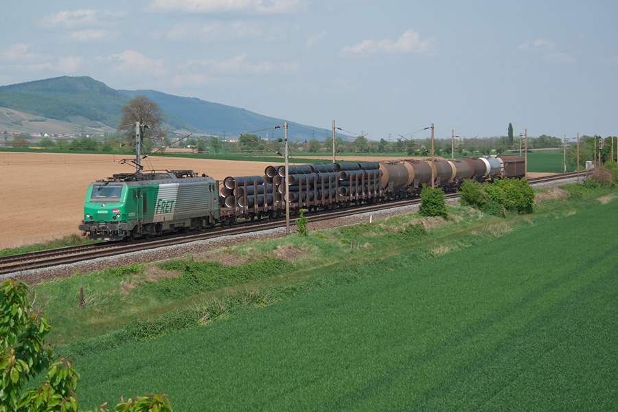 Sur la ligne 3, entre S&eacute;lestat et Colmar, la BB 37051 assure un court train de Fret de wagons isol&eacute;s, en direction du sud.