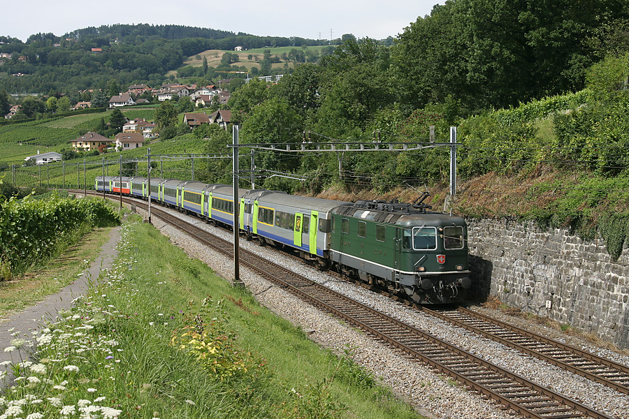 Dans le vignoble du Lavaux, une rame ex-Swiss Express aux couleurs du BLS et remorqu&eacute;e par une Re4/4 verte, monte la rampe vers Puidoux-Chexbres et vient de passer la halte de Bossi&egrave;re.