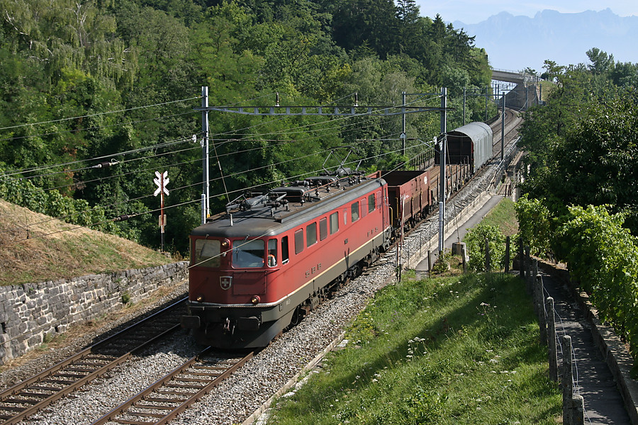 Non loin de la halte de Bossi&egrave;re, une Ae 6/6 rouge &agrave; moustaches descend un court fret vers Lausanne.