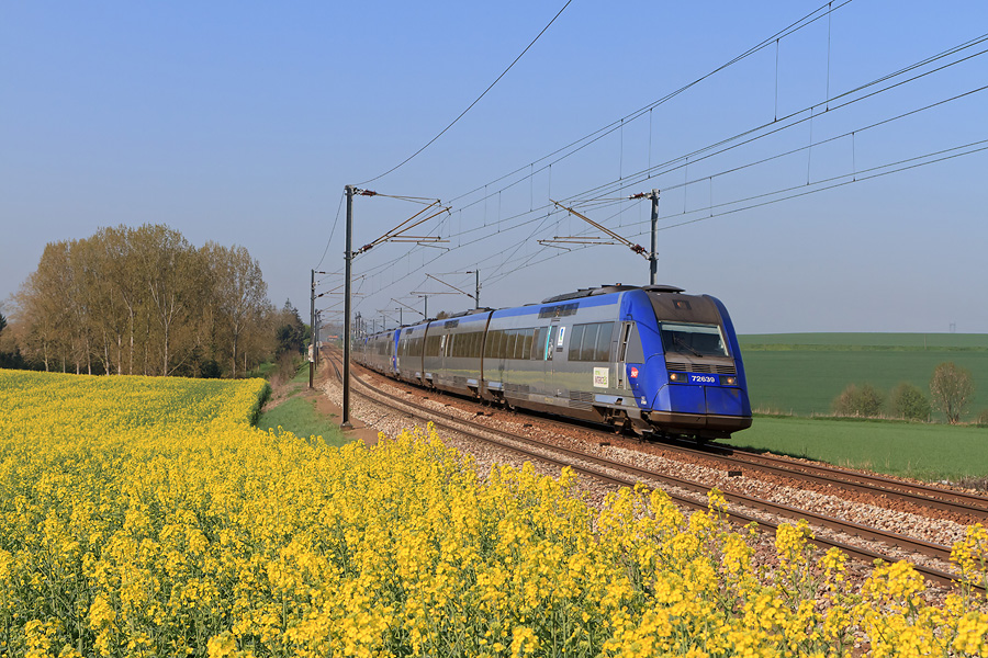 Bien &agrave; l'heure, l'IC 3420 Granville - Paris-Vaugirard est vu longeant un des nombreux champs de colza visible en cette p&eacute;riode de l'ann&eacute;e. Il est assur&eacute; par une UM3 d'XTER.