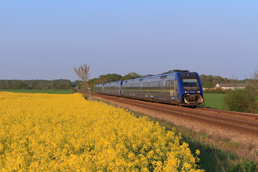 Le TER 16515 Paris-Vaugirard - Argentan est aper&ccedil;u &agrave; l'entr&eacute;e de Verneuil-sur-Avre, longeant un champ de colza arros&eacute; d'une belle lumi&egrave;re de soir&eacute;e ...