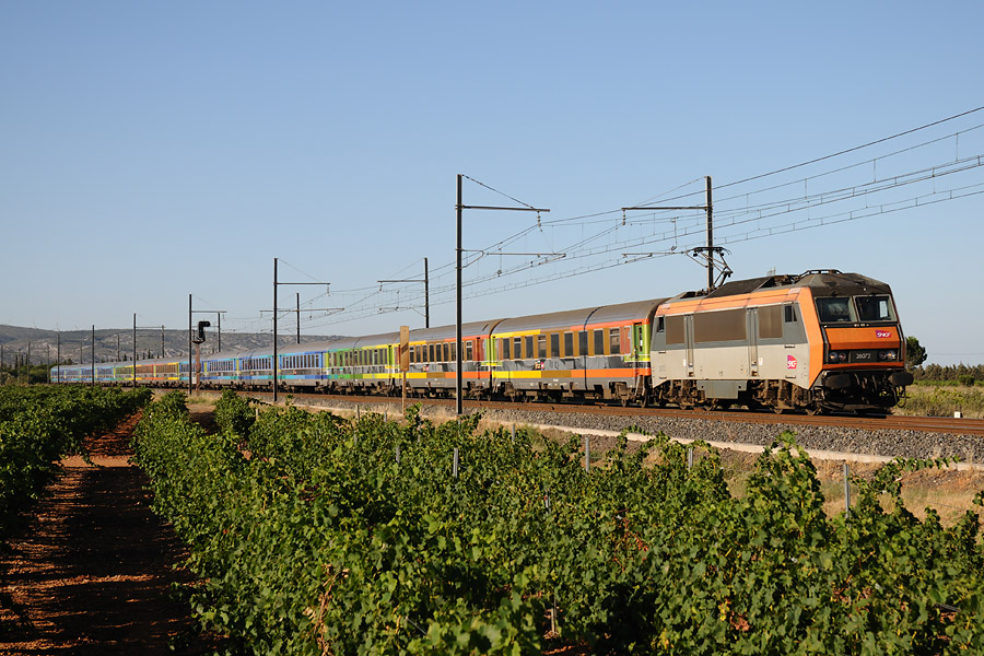 Le train 3631 Paris-Austerlitz - Cerb&egrave;re, dans les vignes, entre Salses-le-Ch&acirc;teau et Rivesaltes.