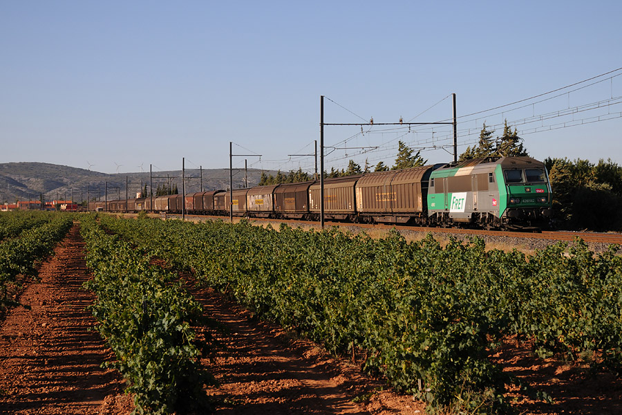 Le train 44207 Saarbr&uuml;cken Rbf - Cerb&egrave;re &agrave; Rivesaltes.