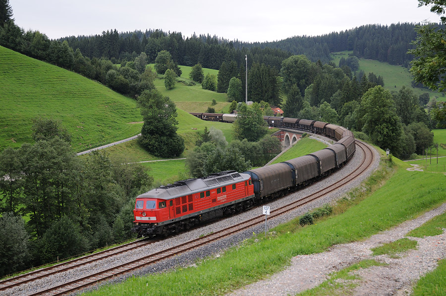 Passage &agrave; Harbatshofen sur le viaduc de Thalhofen du train 45197 Buchs SG 10h20 - Hall 22h10