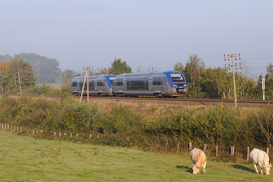 UM de A-TER &agrave; Bouhans-l&egrave;s-Lure, circulant en W en 783989 Vesoul - Belfort.