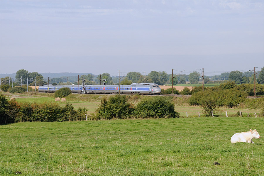 TGV 5441 Bordeaux - Strasbourg &agrave; Baudrecourt, venant de sortir de la LGV Est-Europ&eacute;enne.