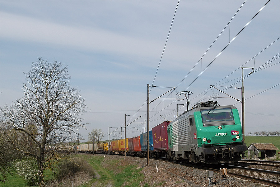 Pr&eacute;c&eacute;dant l'EuroCity 91 "Vauban", voici le train 40317 Bettembourg - Basel, BB 37008 en t&ecirc;te, &agrave; Berthelming.