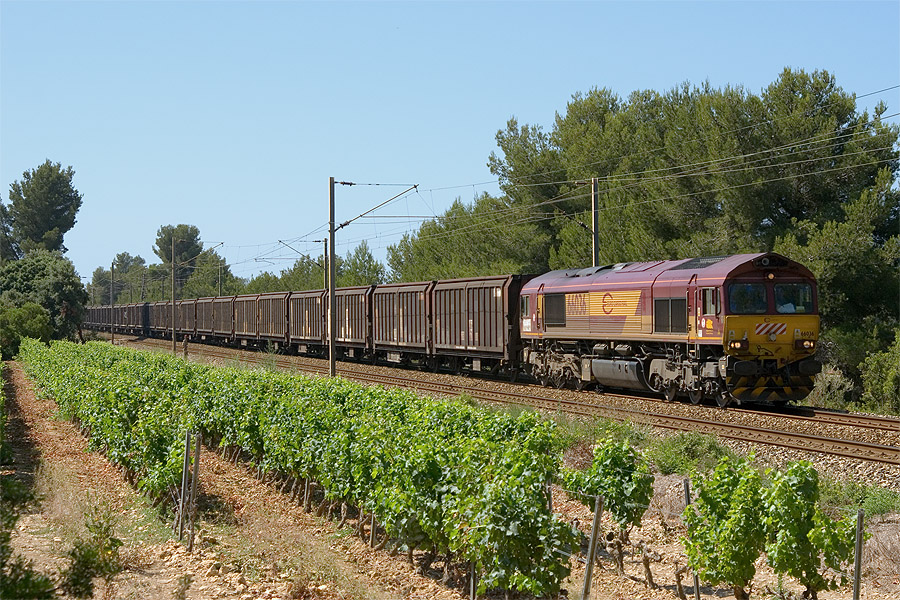 Passage à Port d'Alon (près de Saint-Cyr-sur-Mer), du train 48350 Ventimiglia - Irùn. Ce train, origine Torino-Orbassano, est à destination de Valladolid. Il est tracté par la Class 66036 d'EuroCargoRail.