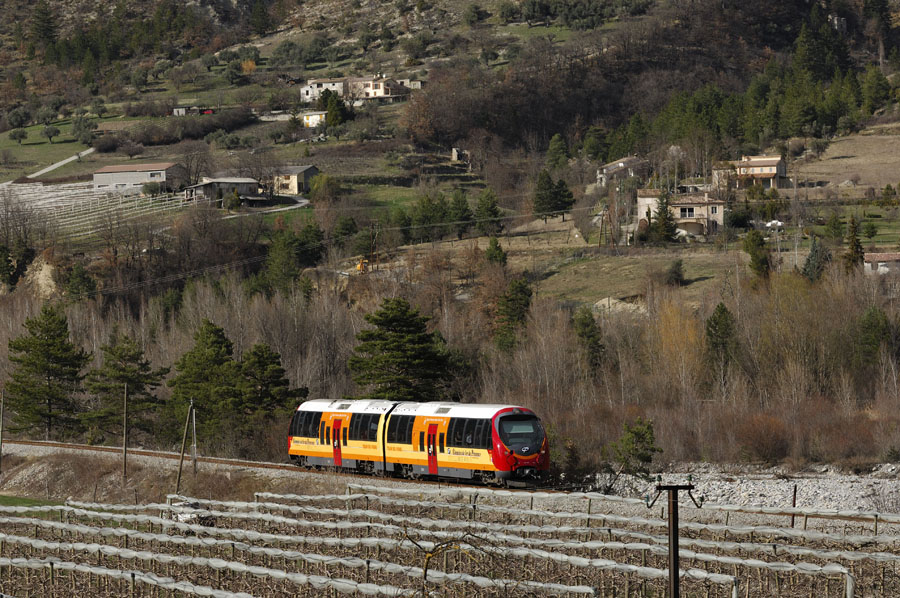 Autorail AMP &agrave; voie m&eacute;trique, au milieu des champs fruticoles.