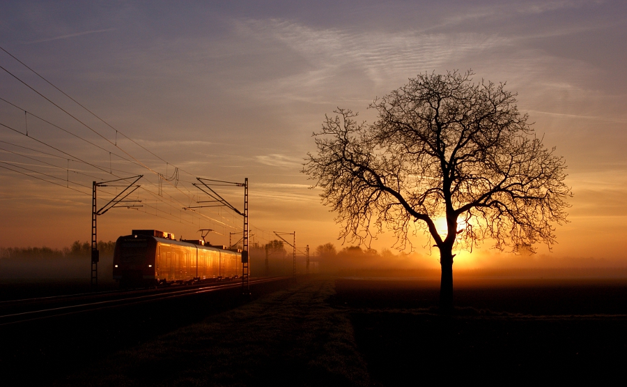 Les premiers rayons du soleil illuminent le 425-203 assurant le train S 38100 de Heidelberg &agrave; Kaiserslautern.