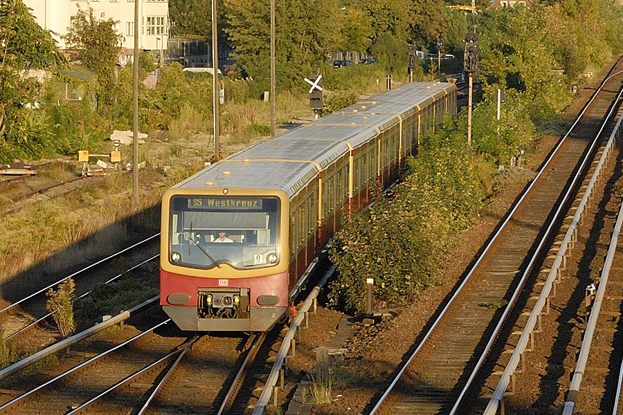 Une rame double BR 481 du S-Bahn, ligne S5, &agrave; Berlin.