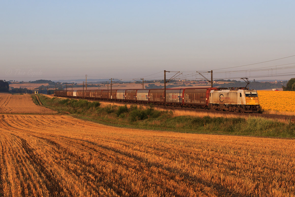 C'est sous les premiers rayons matinaux du soleil que la Craxx E 186 169 d'ECR est vue à Gemeaux alors qu'elle remonte la L15 depuis la frontière espagnole en direction de l'Allemagne, sur un train Opel Cerbère - Stiring-Wendel, ville où ECR laissera place à la maison mère pour la traction du train.