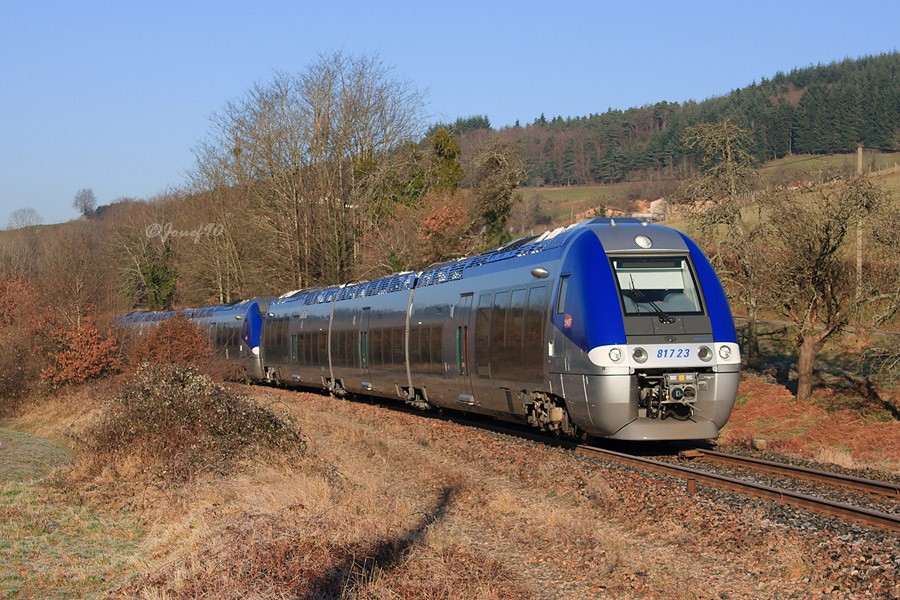 Une UM de BGC passe au train 16831 Orléans - Lyon Perrache.